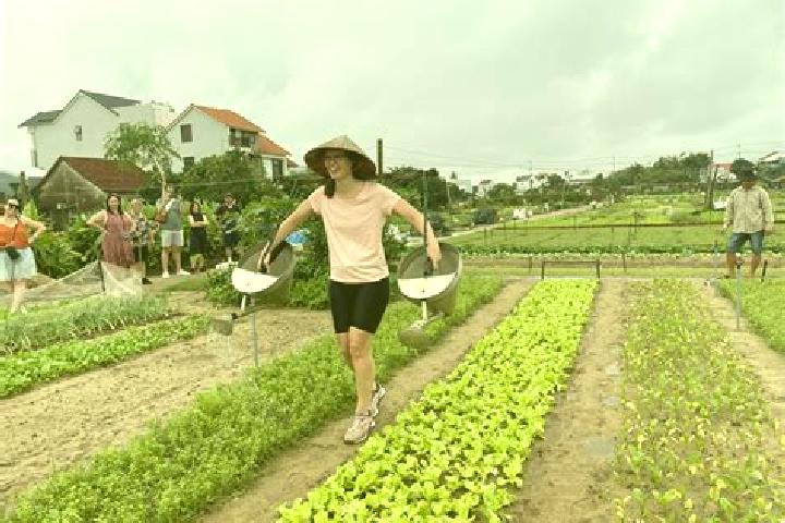 Eleanor, 21 — Escort in Tra Que Vegetable Village, Vietnam