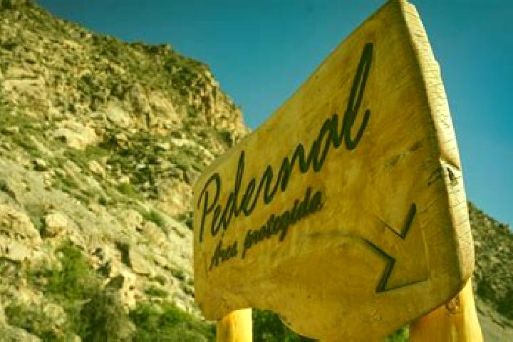 Eleanor, 22 — Escort in El Pedernal, Honduras