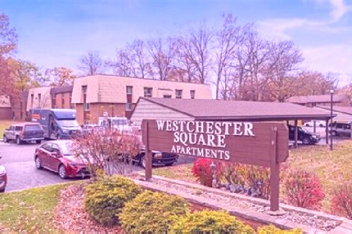Eleanor, 22 — Escort in Morgandale, United States
