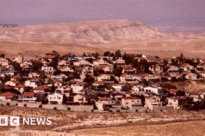 Eleanor, 22 — Escort in Sal it, Palestine