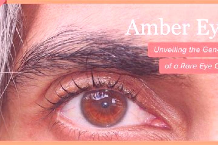 Eleanor, 23, a red amber-eyed mediterranean companion based in Barkway. Offering Duos, Overnight, Couples, 69. Available for incall and outcall, overnight bo...