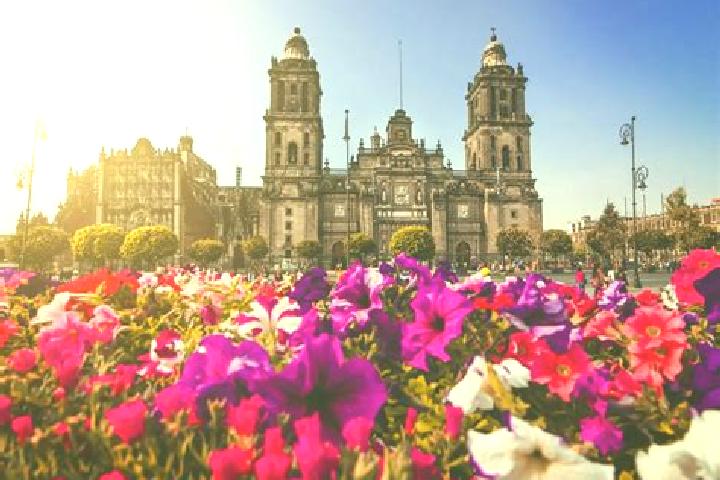 Eleanor, 23 — Escort in Ciudad de Armeria, Mexico
