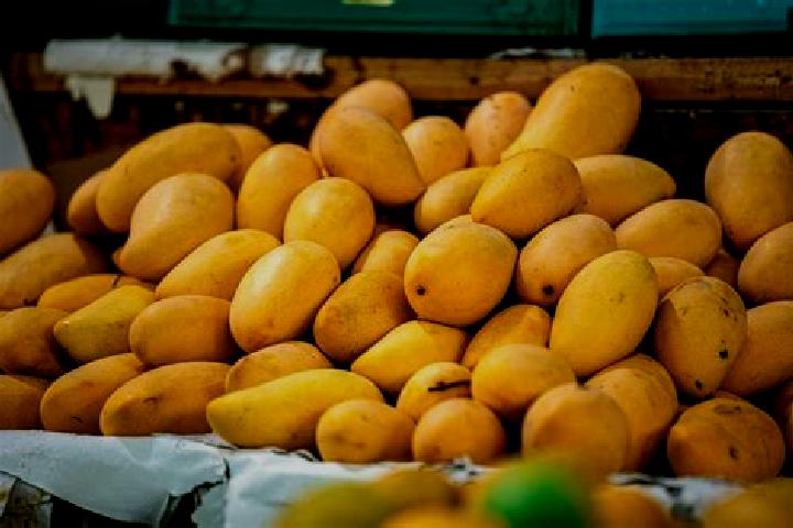 Eleanor, 23 — Escort in Colonia Mangos (El Quemado), Mexico