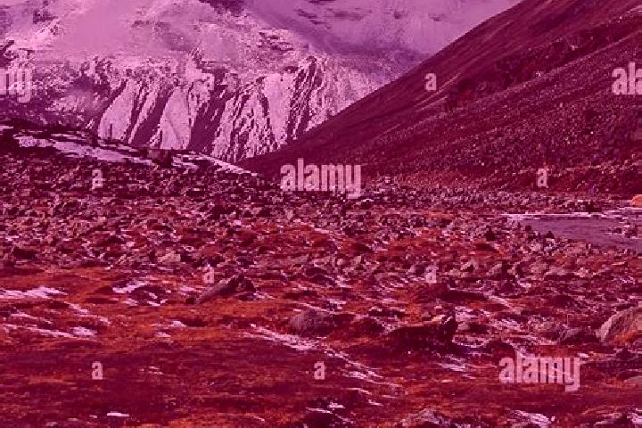 Eleanor, 23 — Escort in Tundra, India