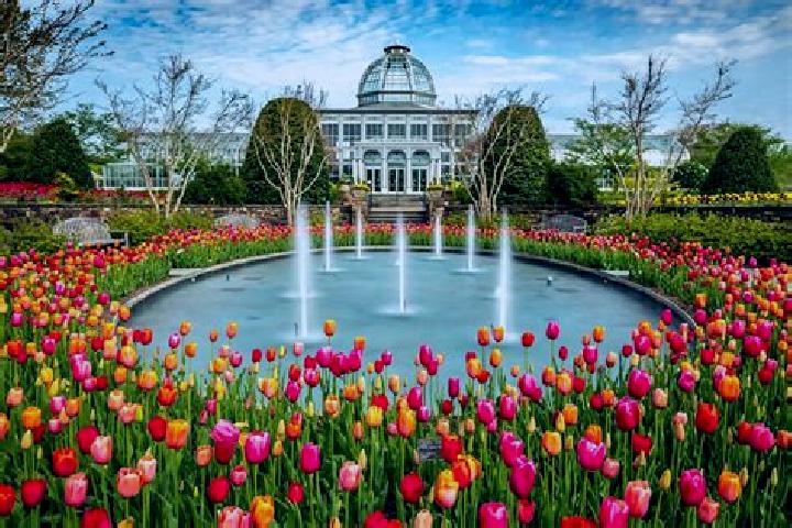Eleanor, 23 — Escort in Victory Gardens, United States