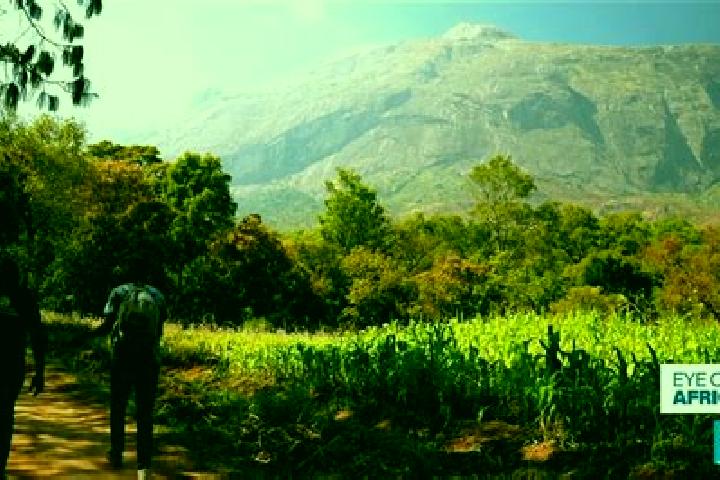 Eleanor, 24 — Escort in Mulanje, Malawi