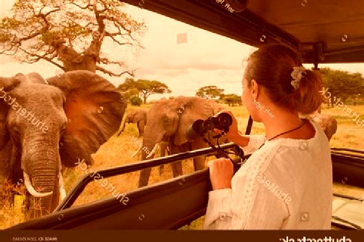 Eleanor, 24 — Escort in Suguta, Kenya