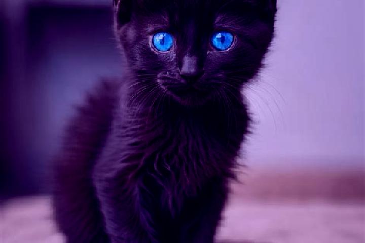 Eleanor, 25, a black blue-eyed mediterranean companion based in Derramaderos. Offering Tantra, Girlfriend Experience, Dinner Date, OWO. Available for incall ...