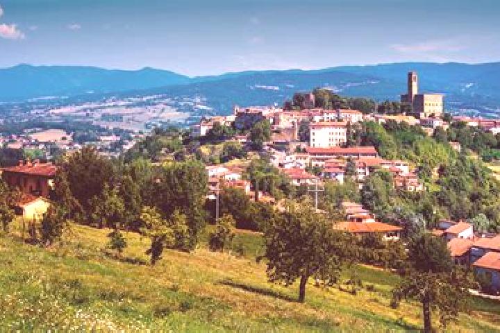 Eleanor, 25 — Escort in Ponte a Poppi, Italy