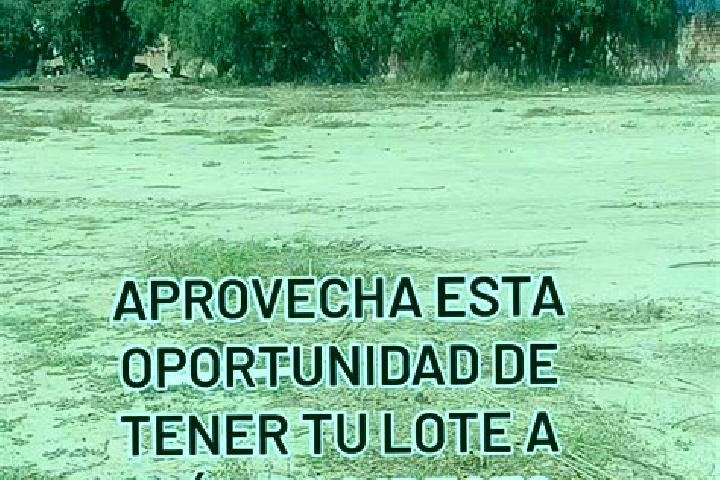 Eleanor, 25 — Escort in Quillacollo, Bolivia