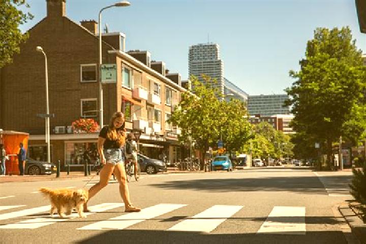 Eleanor, 25 — Escort in Statenkwartier, Netherlands