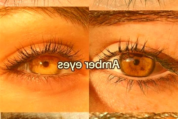Eleanor, 26, a brunette amber-eyed european companion based in Vitteaux. Offering Duos, CIM, Dinner Date, Girlfriend Experience, Deep French Kissing. Availab...