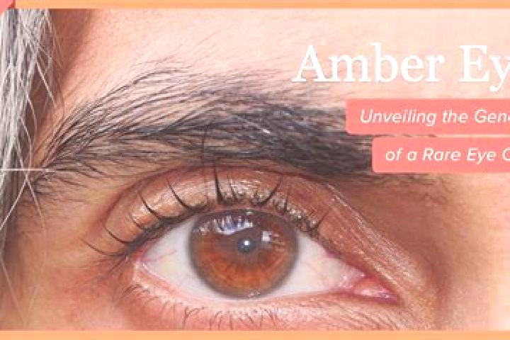 Eleanor, 26, a red amber-eyed mixed companion based in Yeppoon. Offering CIM, Tantra, Overnight, A-Level. Available for incall and outcall, day and evening d...