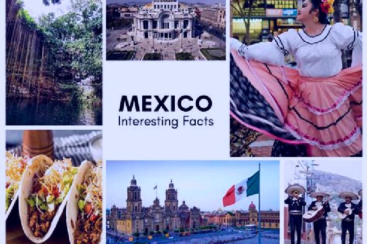 Eleanor, 27 — Escort in El Bismarck, Mexico