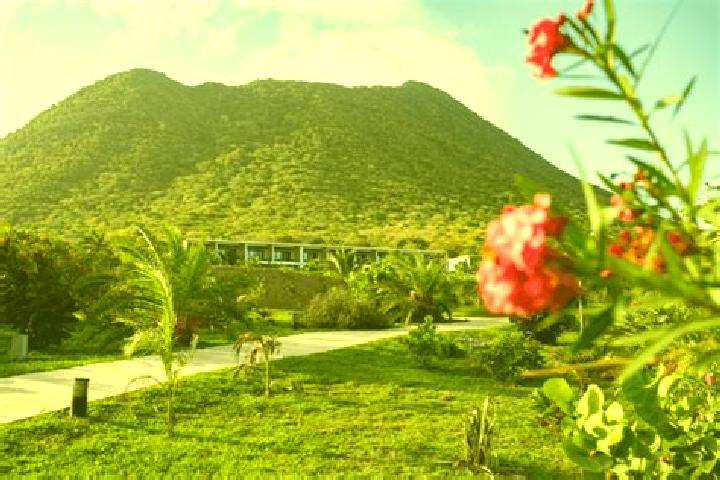 Eleanor, 27 — Escort in Golden Rock, Bonaire