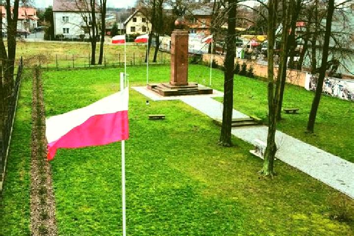 Eleanor, 27 — Escort in Stare Pole, Poland