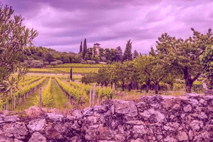 Eleanor, 28 — Escort in San Pietro in Cariano, Italy