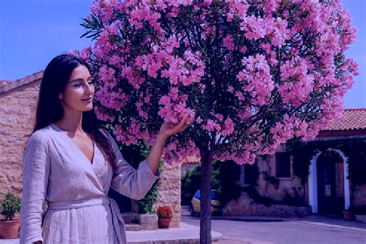 Eleanor, 28 — Escort in Sernhac, France