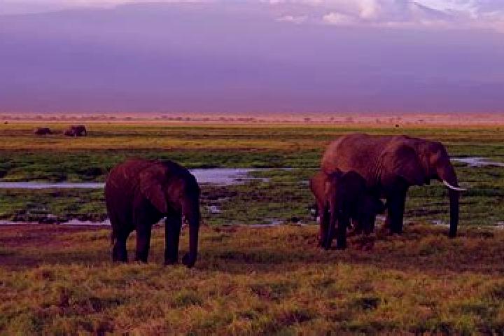 Eleanor, 28 — Escort in Upper Gilgil, Kenya