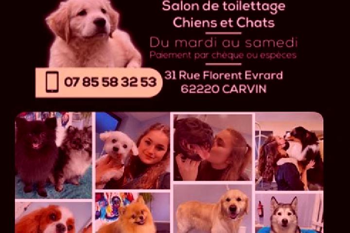 Eleanor, 30 — Escort in Carvin, France