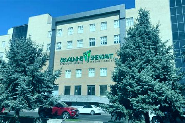 Eleanor, 30 — Escort in Shengavit, Armenia