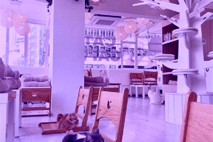 Eleanor, 31, a chestnut green-eyed caribbean companion based in Cheung Sha Wan. Offering GFE, Party Girl, Striptease. Available for incall and outcall, overn...