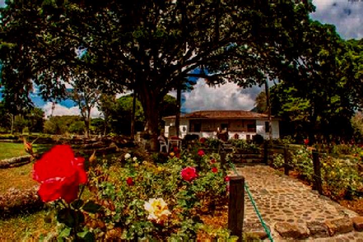 Eleanor, 31 — Escort in El Cerrito, Colombia