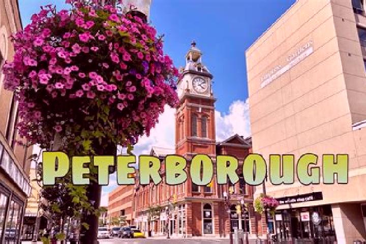Eleanor, 31 — Escort in Peterborough, Canada
