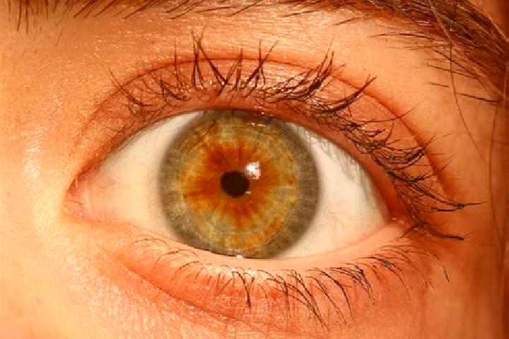Eleanor, 32, a red hazel-eyed middle eastern companion based in Tengrela. Offering Domination, Fetish, CIM. Available for incall and outcall, day and evening...