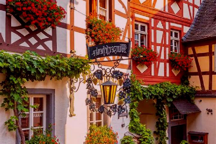 Eleanor, 32 — Escort in Stordorf, Germany
