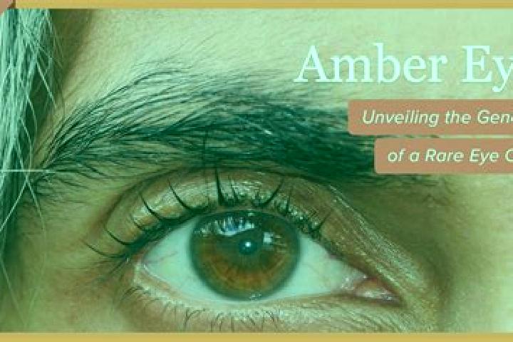 Eleanor, 34, a red amber-eyed ebony companion based in Brezovica. Offering Domination, Travel Companion, Massage, GFE, Roleplay. Available for incall and out...