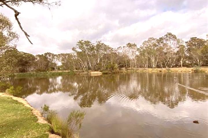 Eleanor, 34 — Escort in Kangaroo Flat, Australia
