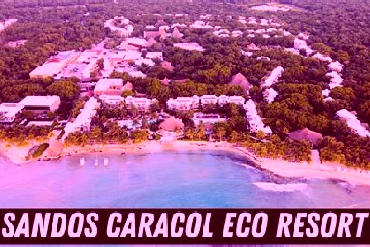 Eleanor, 35 — Escort in El Caracol, Mexico