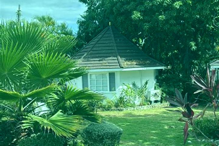 Eleanor, 35 — Escort in Saint Ann s Bay, Jamaica