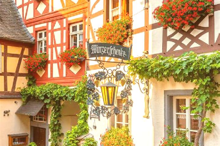 Eleanor, 36 — Escort in Hohetor, Germany