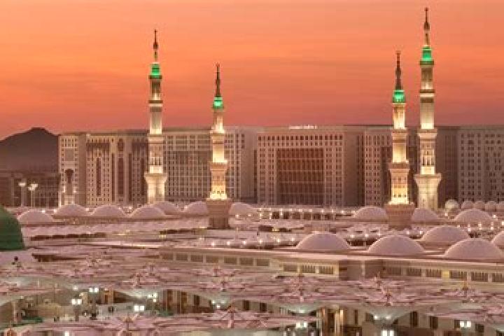 Eleanor, 36 — Escort in Medinah, United States