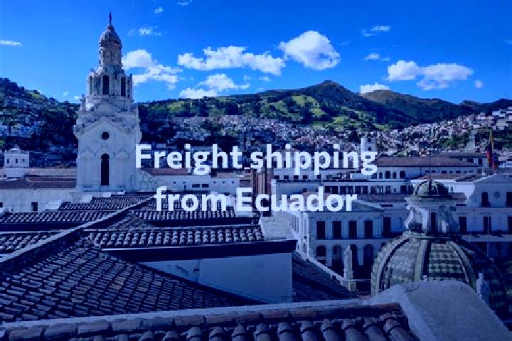 Eleanor, 36 — Escort in Pedernales, Ecuador