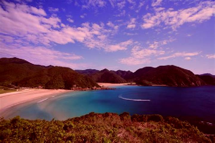 Eleanor, 36 — Escort in Takahama, Japan