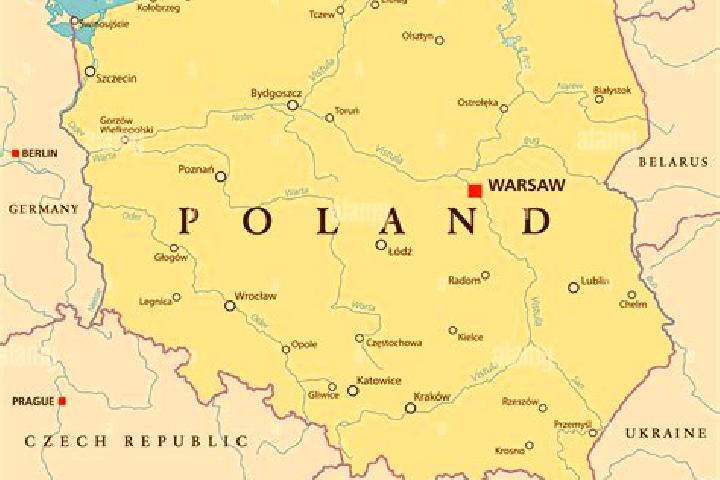 Eleanor, 37 — Escort in Kanczuga, Poland