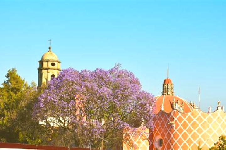 Eleanor, 37 — Escort in Tlahuac, Mexico