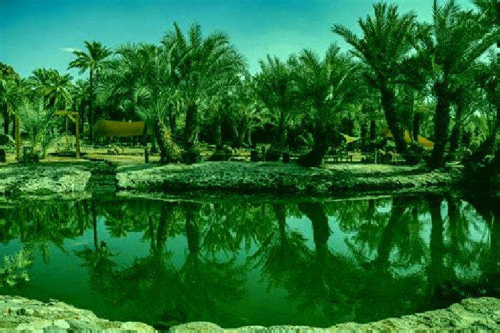 Eleanor, 38 — Escort in Al Qatif, Saudi Arabia