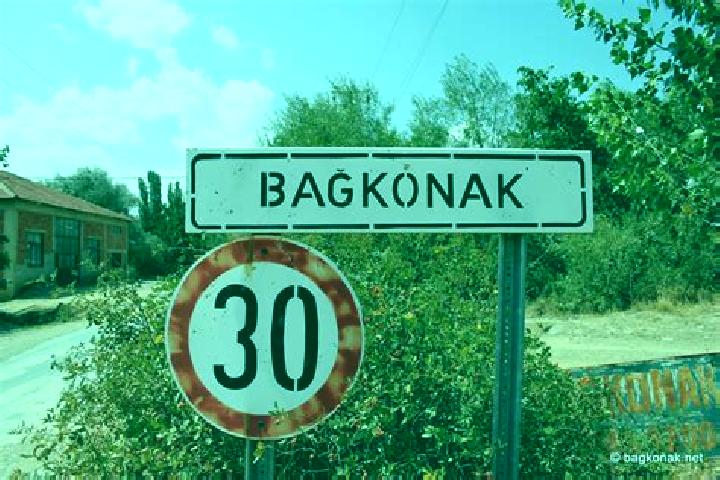 Eleanor, 38 — Escort in Bagkonak, Turkey