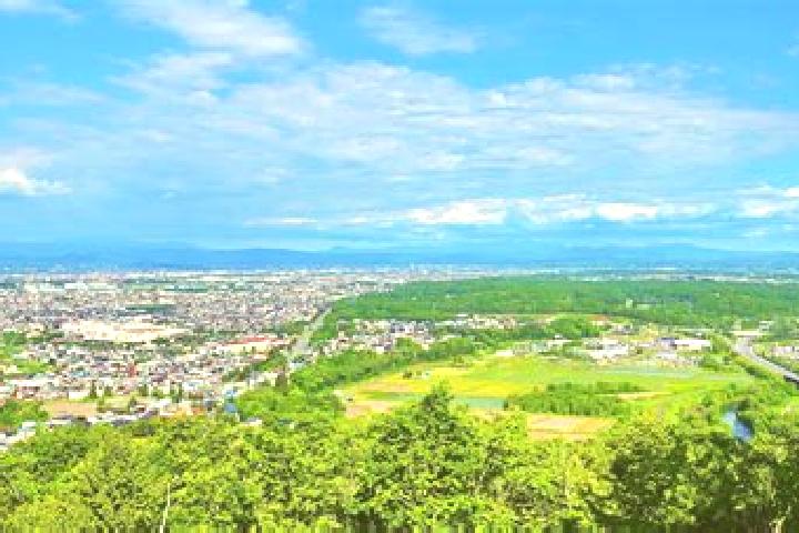 Eleanor, 38 — Escort in Pippu, Japan