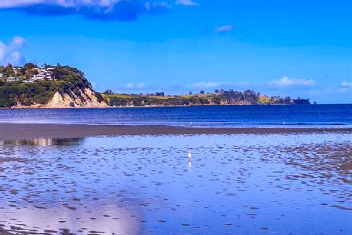 Eleanor, 38 — Escort in Snells Beach, New Zealand