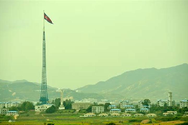 Eleanor, 38 — Escort in Uijin-dong, North Korea