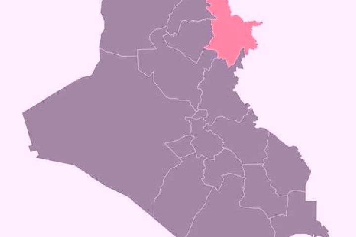 Eleanor, 39 — Escort in Al Diwaniyah, Iraq