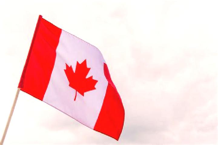 Eleanor, 39 — Escort in Bell s Turn, Canada