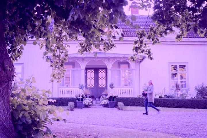 Eleanor, 39 — Escort in Glanshammar, Sweden