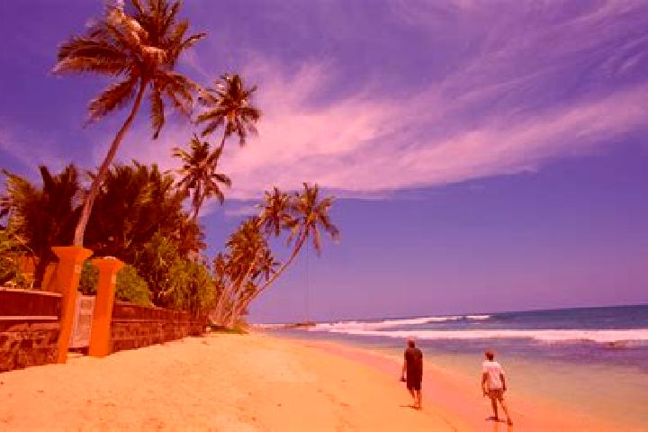 Eleanor, 39 — Escort in Wanduruppa, Sri Lanka