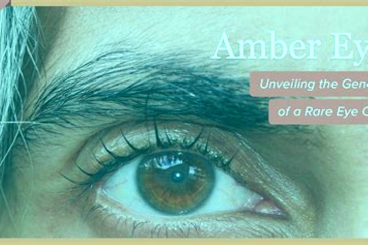 Elizabeth, 20, a red amber-eyed slavic companion based in El Nopal. Offering Roleplay, Erotic Massage, Fetish, Dinner Date, 69. Available for incall and outc...